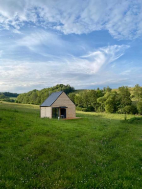 Zielanka - Cabin in Owl Mountains